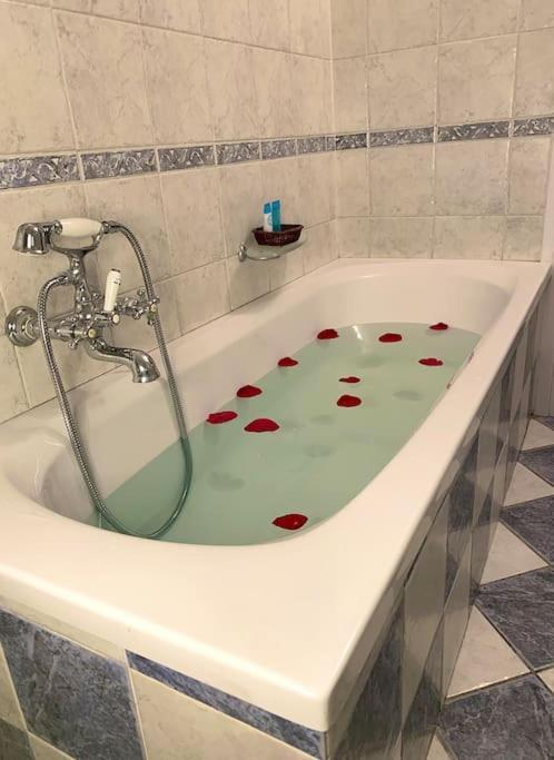 Mansarda Con Vista In Centro A Piacenza Apartman Kültér fotó